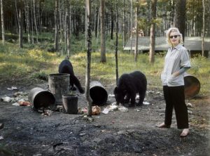 Marilyn Monroe with black bears in Canada,